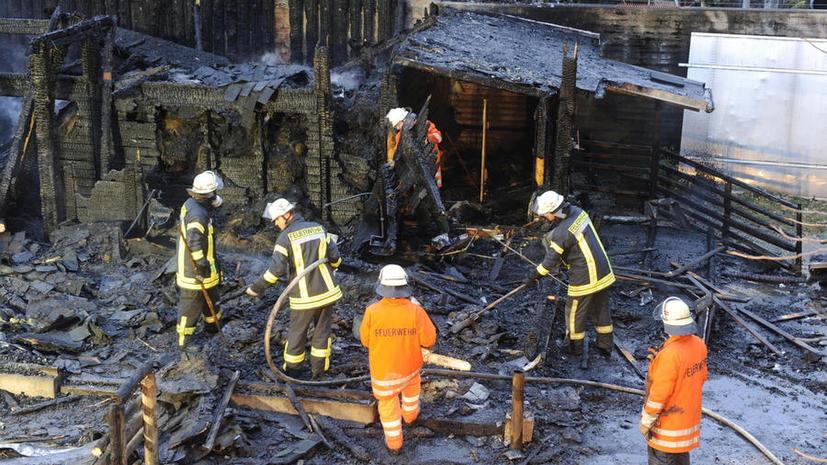 Десятки питомцев шотландского зоопарка сгорели при пожаре