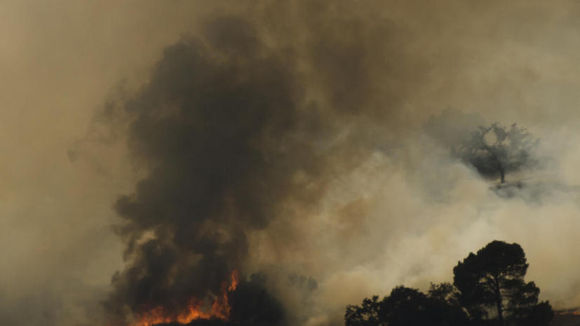 Лесные пожары подступают к Лос-Анджелесу, жители города покидают свои дома