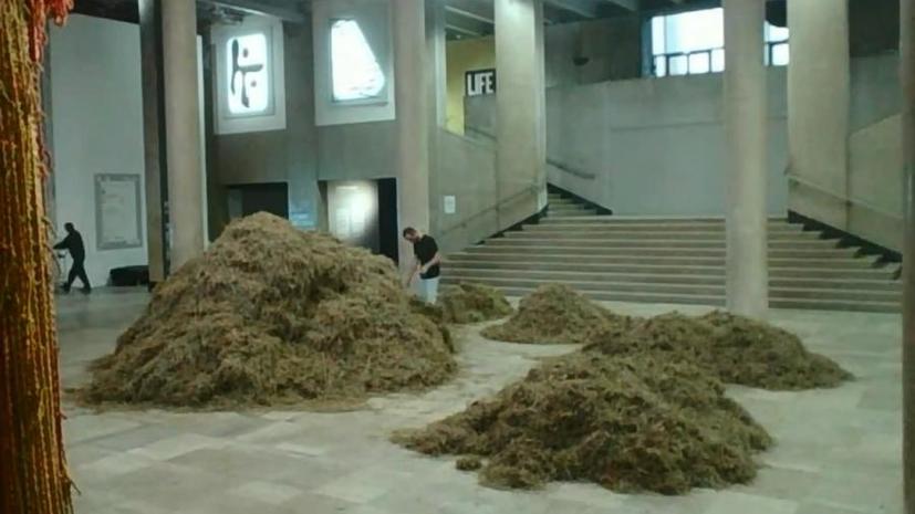 Художник в парижском музее 30 часов искал иголку в стоге сена