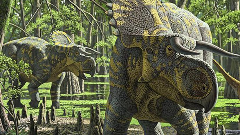 Палеонтологи обнаружили в США неизвестный ранее вид динозавров