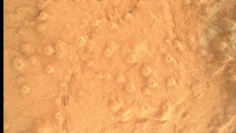Учёные: земные бактерии, вероятно, уже начали колонизировать Марс