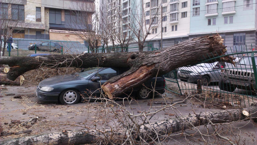 Штормовой ветер в европейской части России валит деревья, срывает крыши и сдувает самолёты