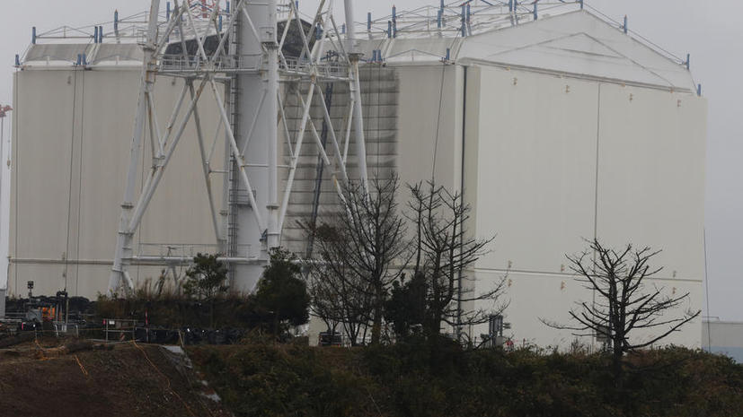 В рисе из префектуры Фукусима впервые не обнаружено следов радиационного заражения