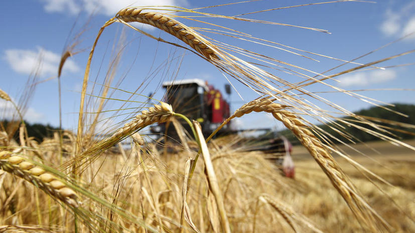 Экспорт зерна в России увеличился на 16% по сравнению с прошлым годом