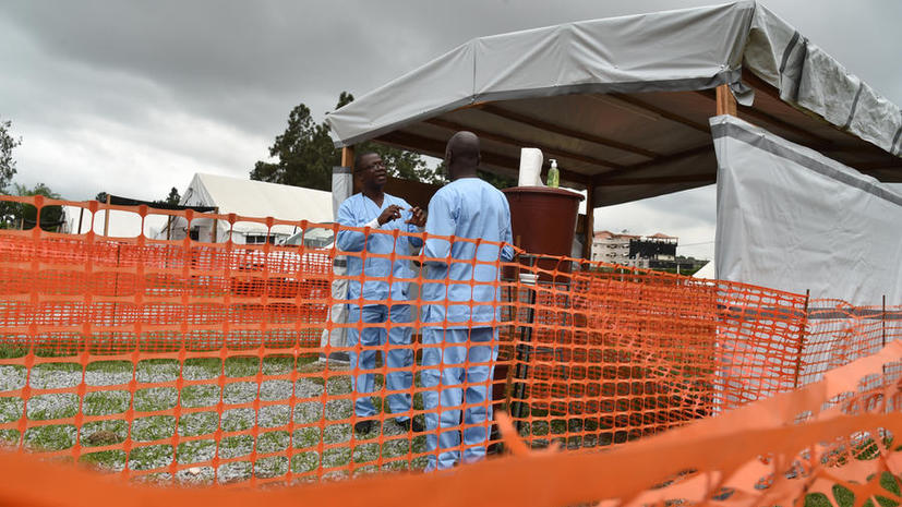 ​Учёные из Гарварда создали приборы для быстрой диагностики и лечения лихорадки Эбола