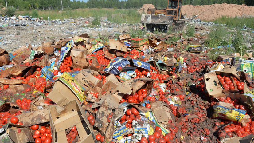 Более 300 тонн санкционных продуктов уничтожено за первый день действия указа