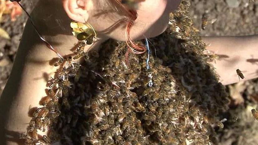 Танцующая с пчелами: в США женщина медитирует с тысячами насекомых на теле