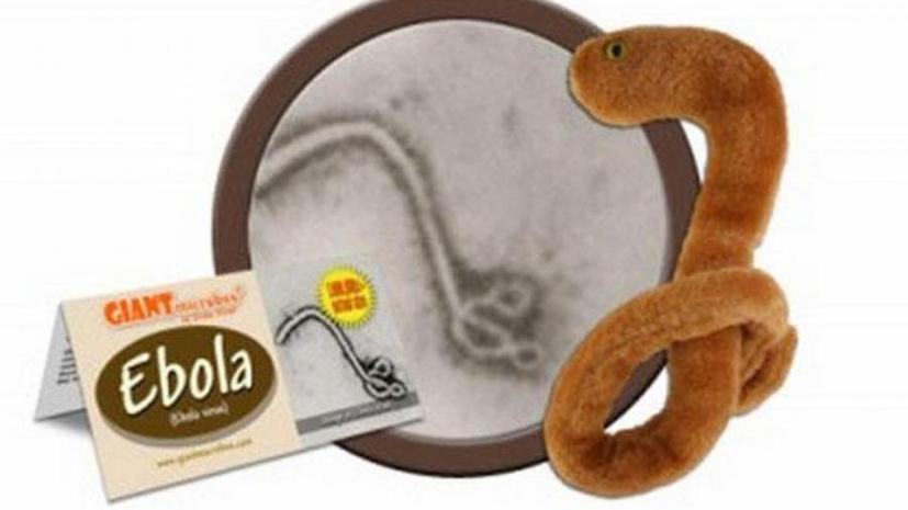 Плюшевые вирусы Эбола разошлись в продаже, как горячие пирожки