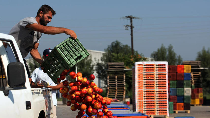 Обмен санкциями между Россией и ЕС грозит разорением греческим фермерам