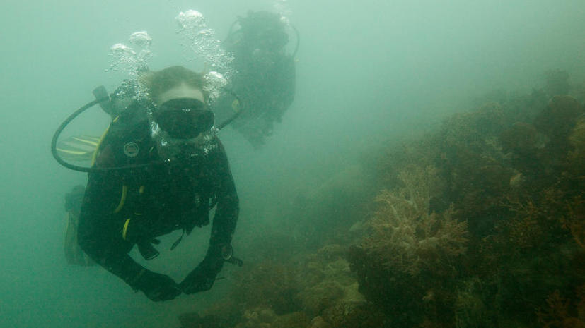 ​Учёные создали субстанцию, позволяющую дышать под водой