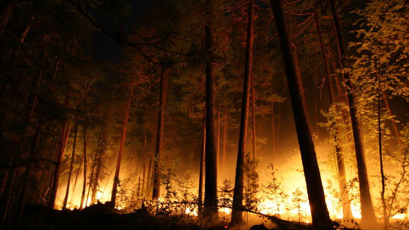 В Забайкалье лесные пожары привели к возгоранию на складе с боеприпасами, движение по Транссибу остановлено