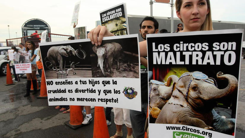 В Мехико запретят цирковые представления с участием животных