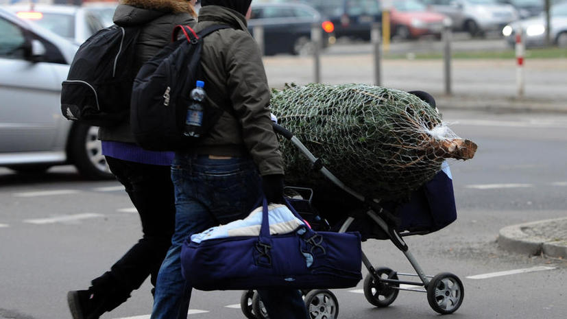 Каждая пятая рождественская ель в Швеции украдена