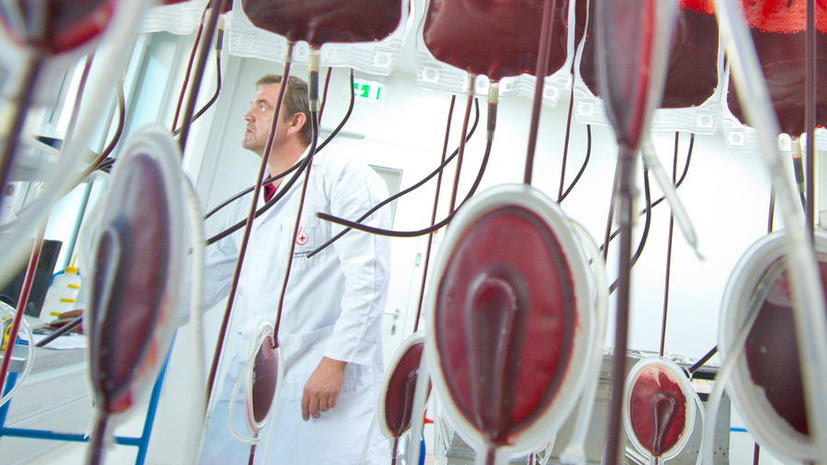 Британские пациенты могут заразиться «коровьим бешенством» после переливания крови